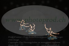 ref. photo 3179012