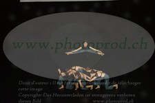 ref. photo 3179020