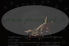 ref. photo 3179080
