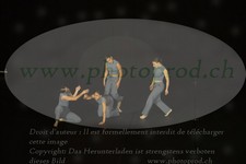 ref. photo 3179117