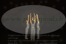 ref. photo 3179141