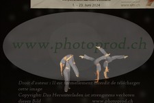 ref. photo 3179146