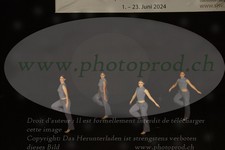 ref. photo 3179153