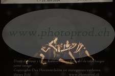 ref. photo 3179209
