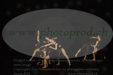 ref. photo 3179215