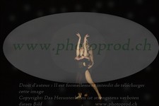 ref. photo 3179217