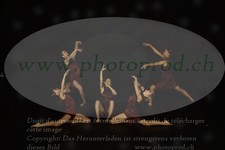 ref. photo 3179344