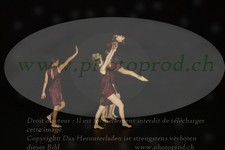 ref. photo 3179395