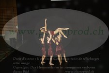 ref. photo 3179414