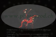ref. photo 3179461