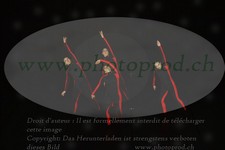 ref. photo 3179475