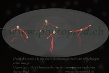 ref. photo 3179477