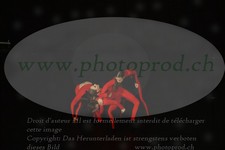 ref. photo 3179487