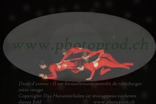 ref. photo 3179496