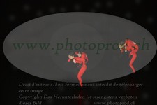 ref. photo 3179507