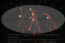 ref. photo 3179509