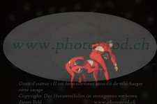 ref. photo 3179514