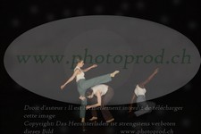 ref. photo 3179578