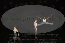 ref. photo 3179581