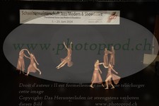 ref. photo 3179685