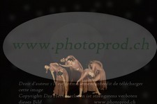 ref. photo 3179707
