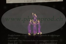 ref. photo 3179810