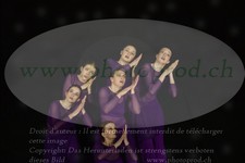 ref. photo 3179822