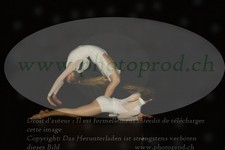 ref. photo 3179828
