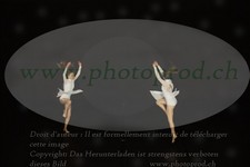 ref. photo 3179839