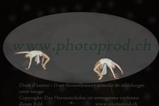 ref. photo 3179844