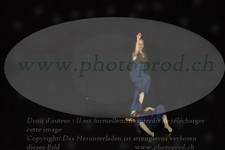 ref. photo 3179872