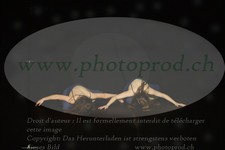 ref. photo 3179875