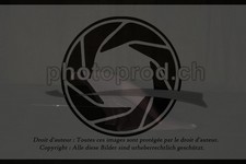 ref. photo 3642949