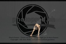 ref. photo 3643088