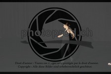 ref. photo 3643089