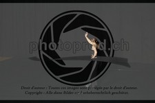 ref. photo 3643097