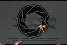 ref. photo 3643118