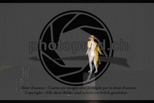 ref. photo 3643249