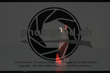 ref. photo 3643318