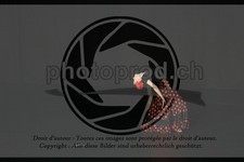 ref. photo 3643332