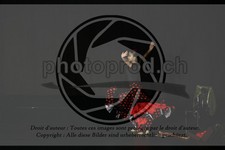 ref. photo 3643342