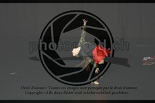 ref. photo 3643377