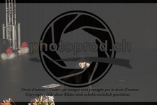 ref. photo 3643405