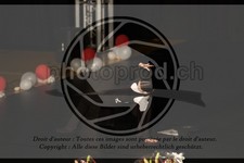 ref. photo 3643409