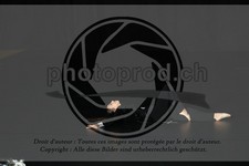 ref. photo 3643626