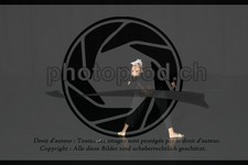 ref. photo 3643630