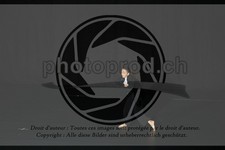 ref. photo 3643646