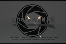 ref. photo 3643654
