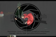 ref. photo 3643826