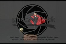 ref. photo 3643839